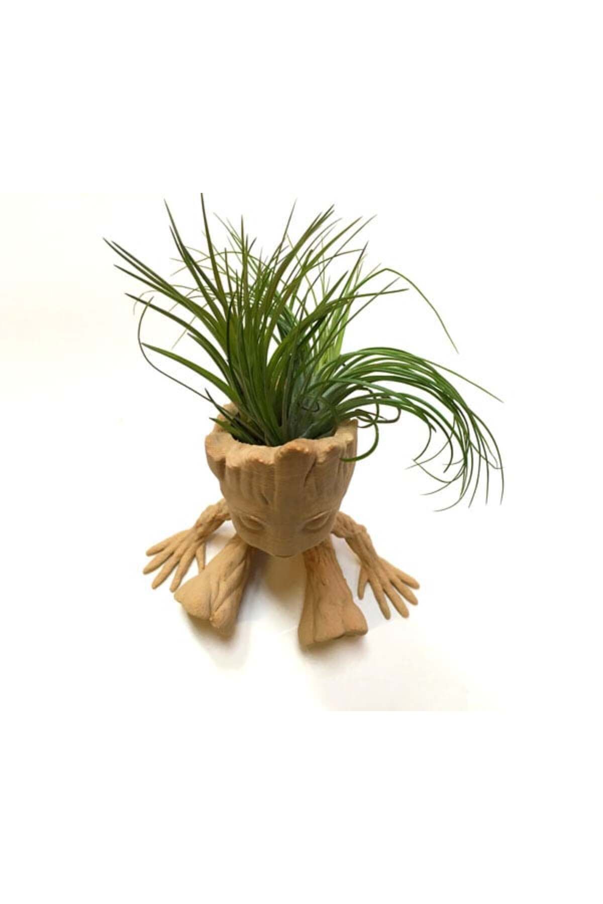 talaşoğlu Baby Groot Hava Tesisi Ekici