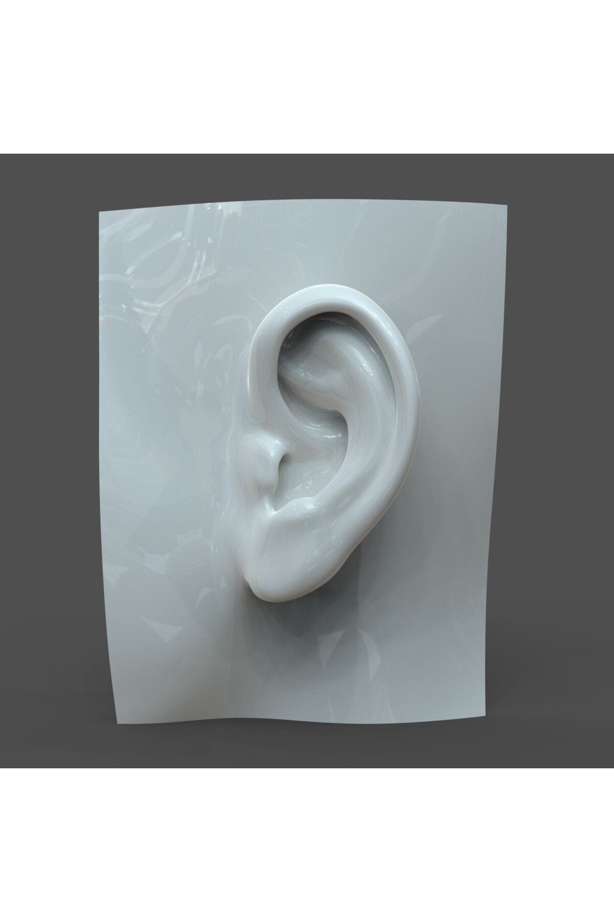 Lucest Gerçekçi kadın kulak modeli F1P1D0V1ear (Plastik Aparattır!!!)
