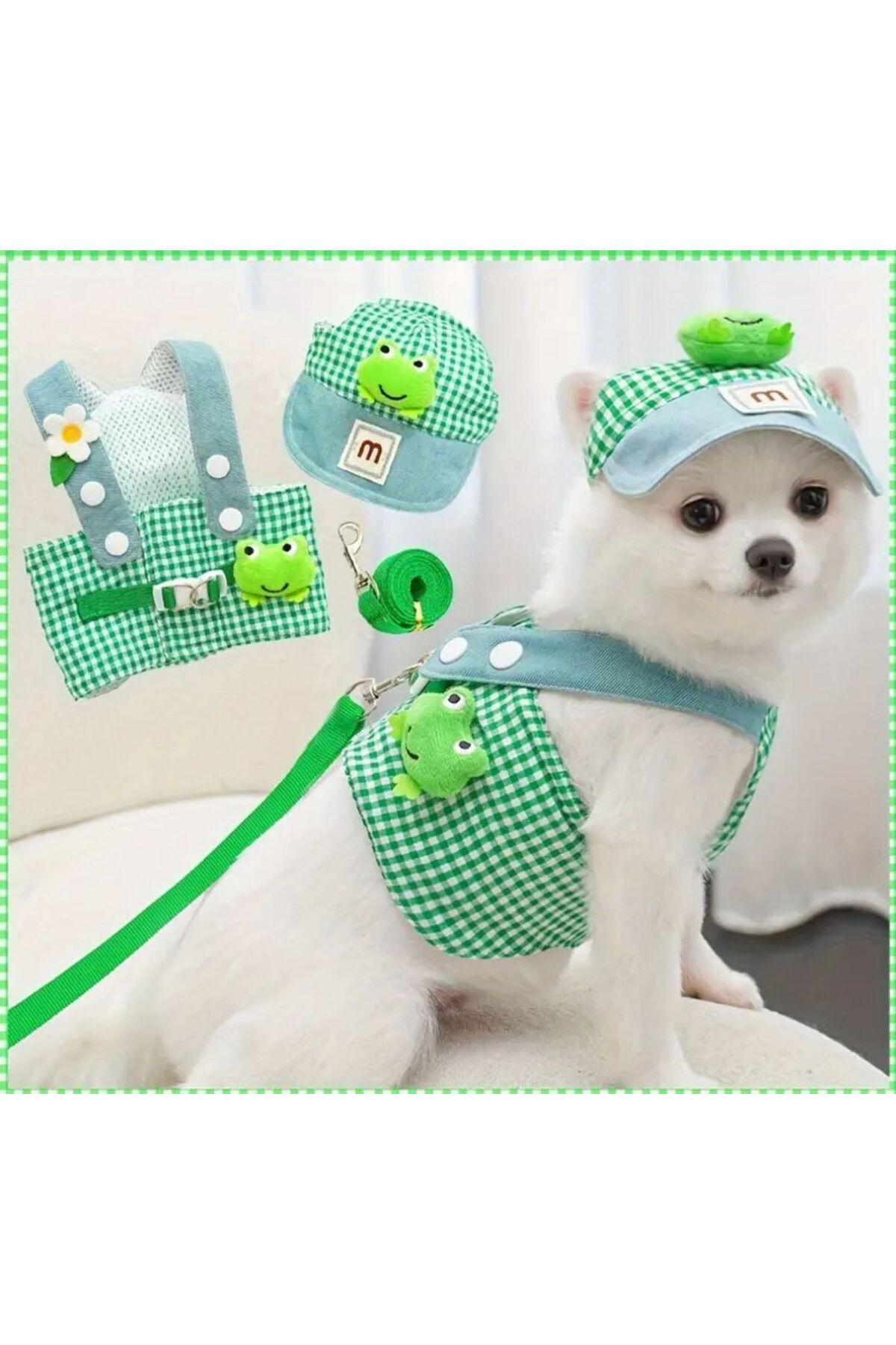 Payidar Hediyelik ŞAPKALI GÖĞÜS TASMASI SET (3 PARÇA) Nefes Alabilir ve Konforlu KEDİ/KÖPEK