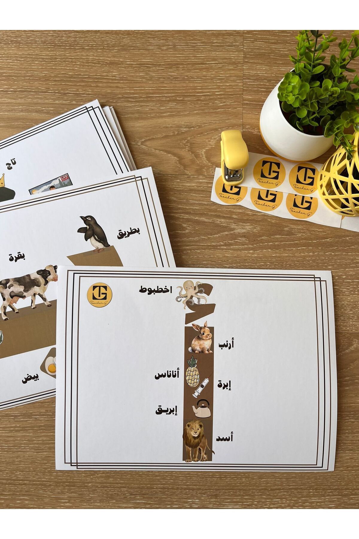 Teacherg game Elif Harfi – Görselli Arapça Eğitim Posteri – (Kelime ve Görsel) (16,5x24cm) 1 adet