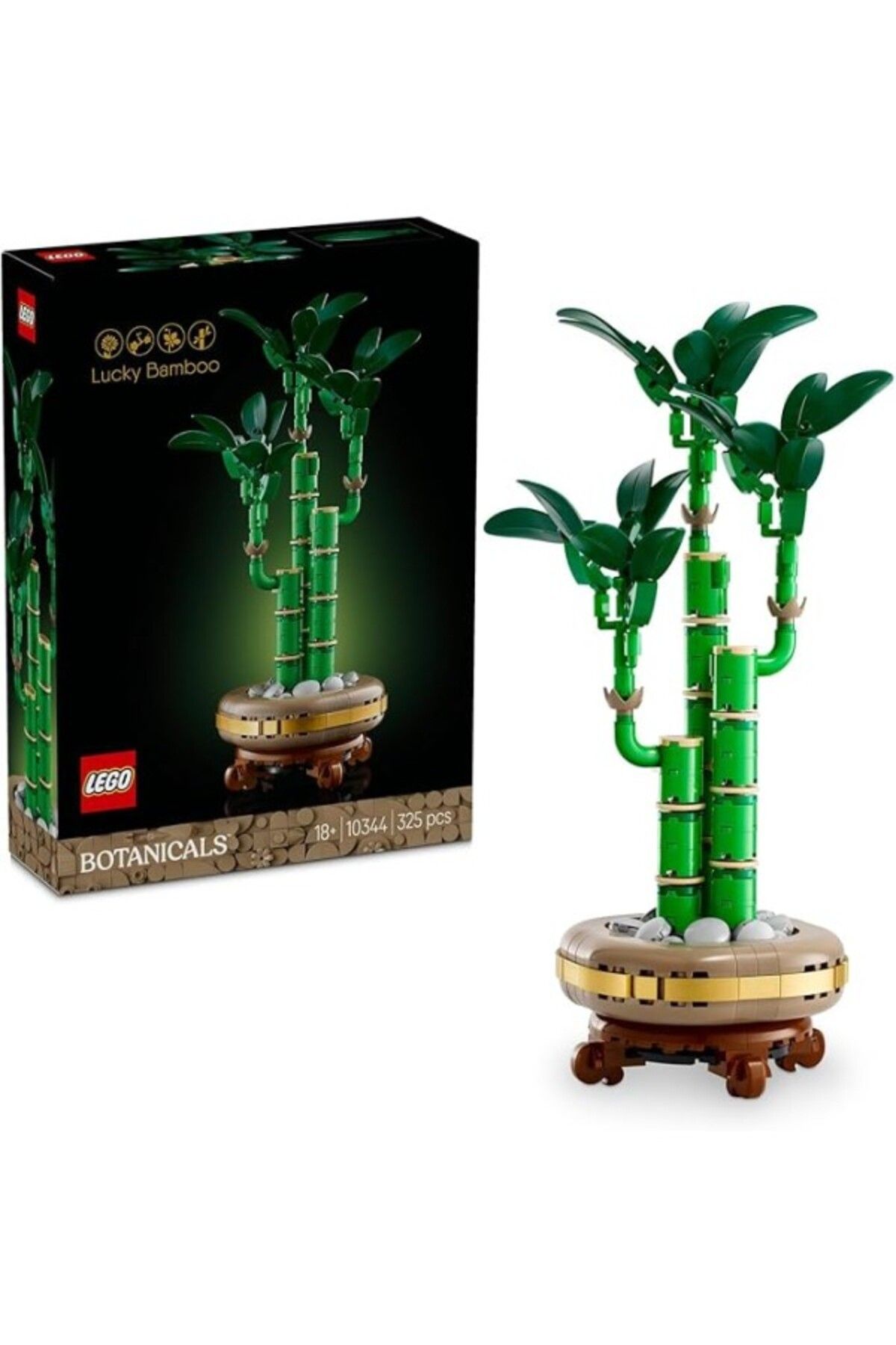 ShopZum Botanicals Şans Bambusu 10344 – Yetişkin Kadın Ve Erkekler Sapları, Çakıl Taşları Ve