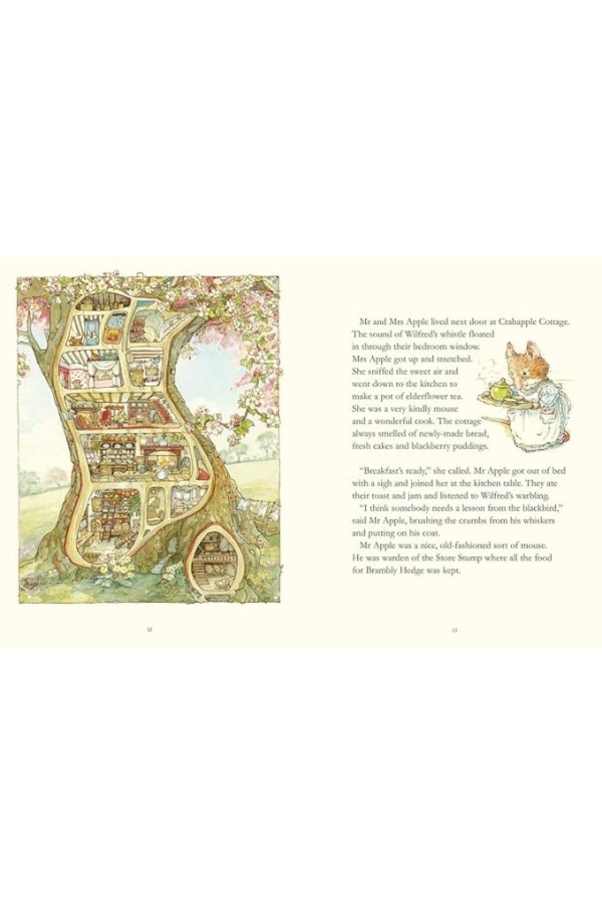 ShopZum The Complete Brambly Hedge