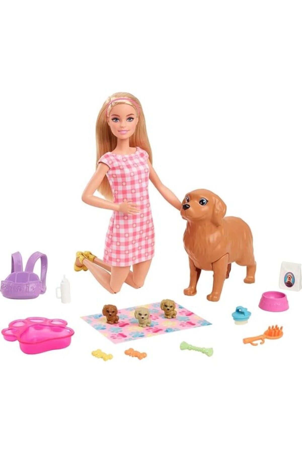 ShopZum Barbie Ve Hayvan Dostları Barbie Ve Hayvan Dostları Oyun Seti, Köpek, 3 Yavru Köpek Ve Aksesuarlar