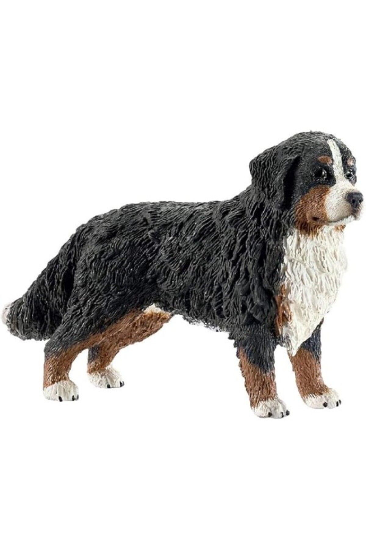ShopZum Schleich Farm World Dişi Bernese
