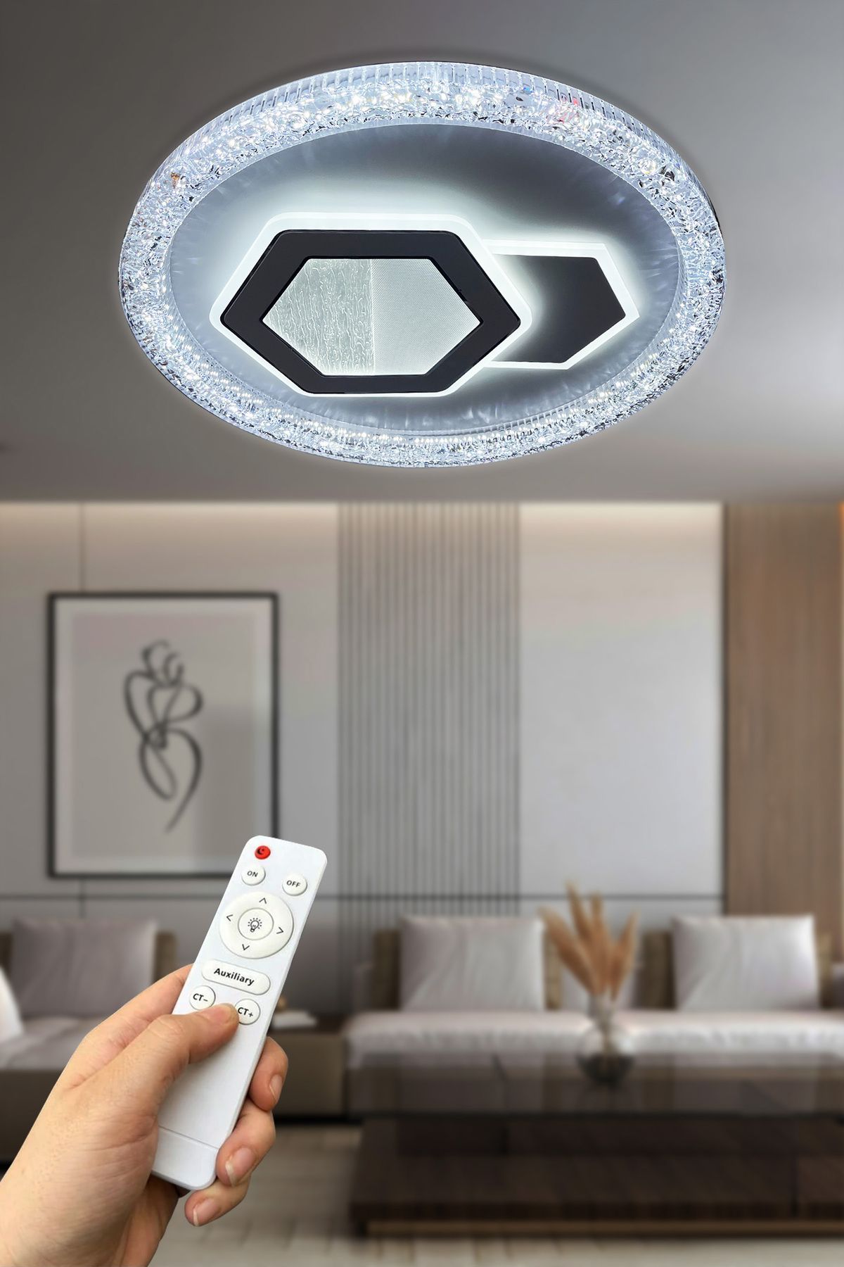 RSCOLLECTIONS Lucea PLafonyer Kumandalı Led Avize