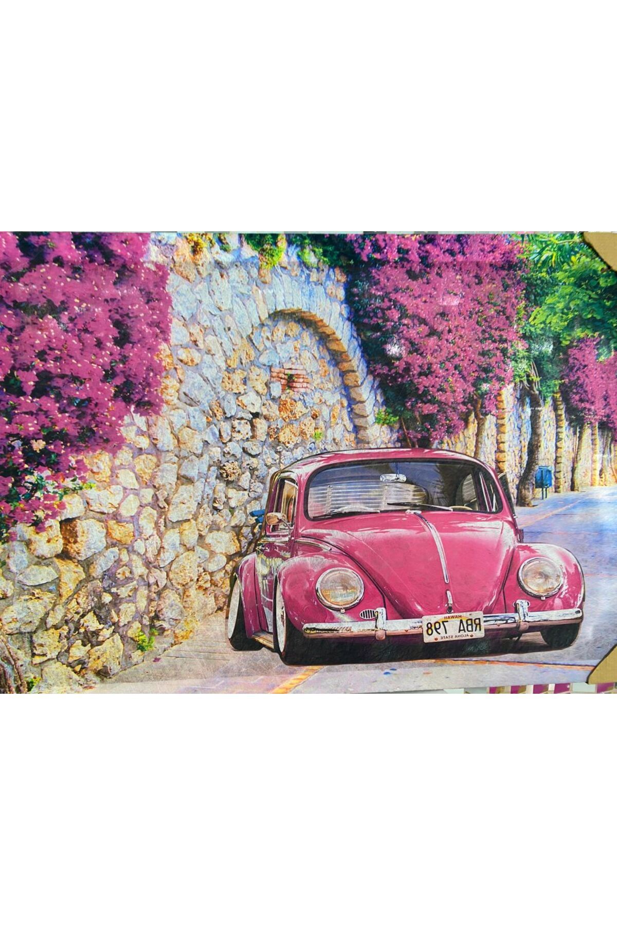 ÖZAY HOBİ EVİ KLASİK ARABA PEMBE RENK 80x50cm TABLO