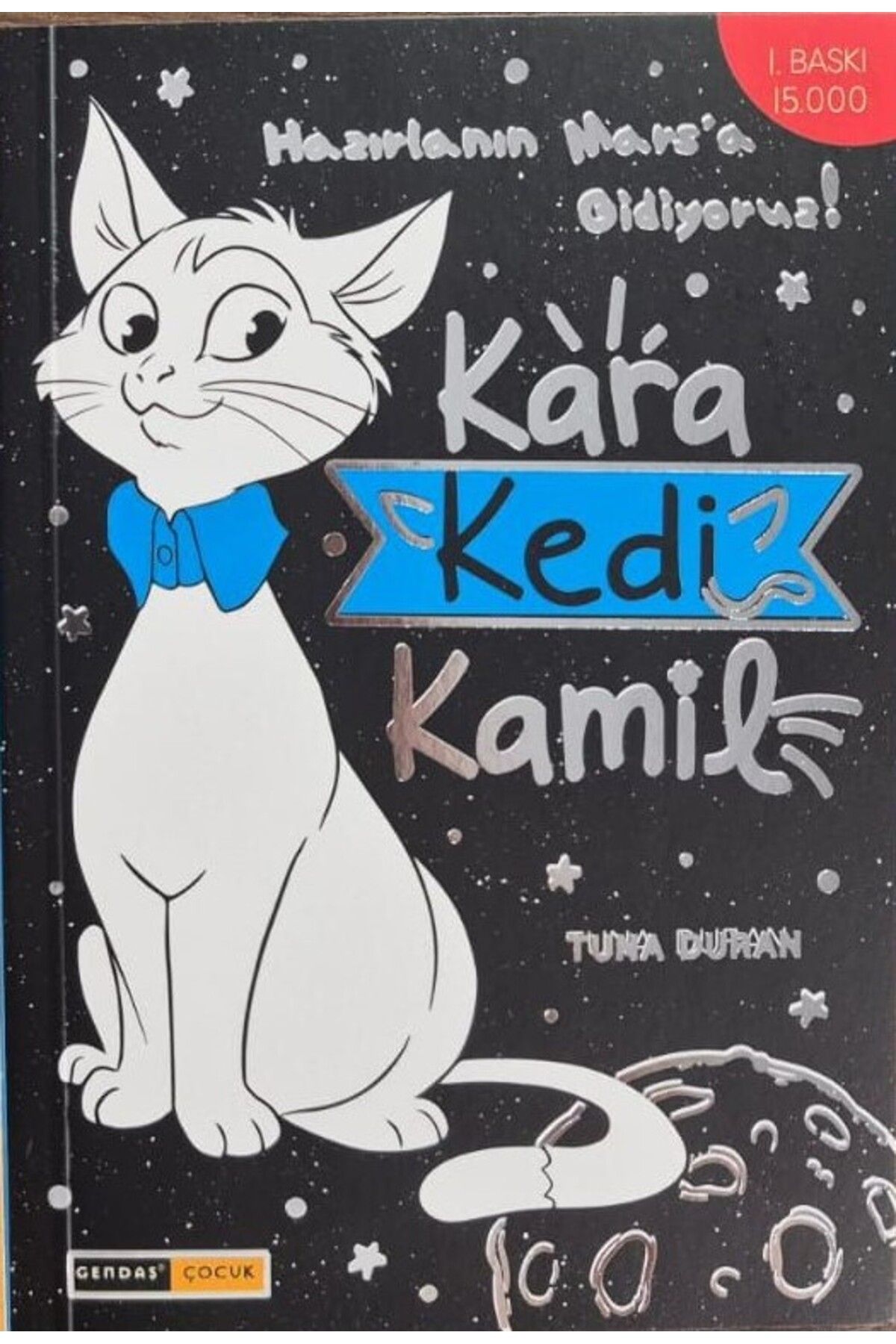 GENDAŞ ÇOCUK GENDAŞ - HİKAYE SETİ KARA KEDİ KAMİL ROMAN (TEK KİTAP) (4.SINIF)