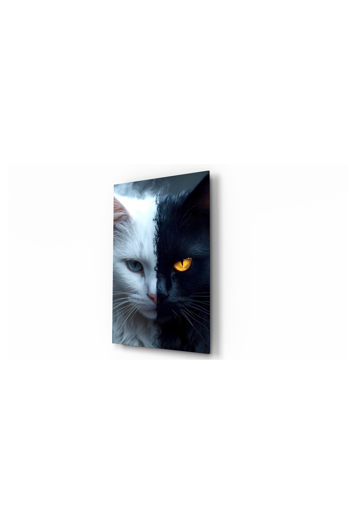 Evlika Kedi Siyah-Beyaz Hayvan Temalı Dekoratif Cam Tablo, Duvar Dekoru H0025