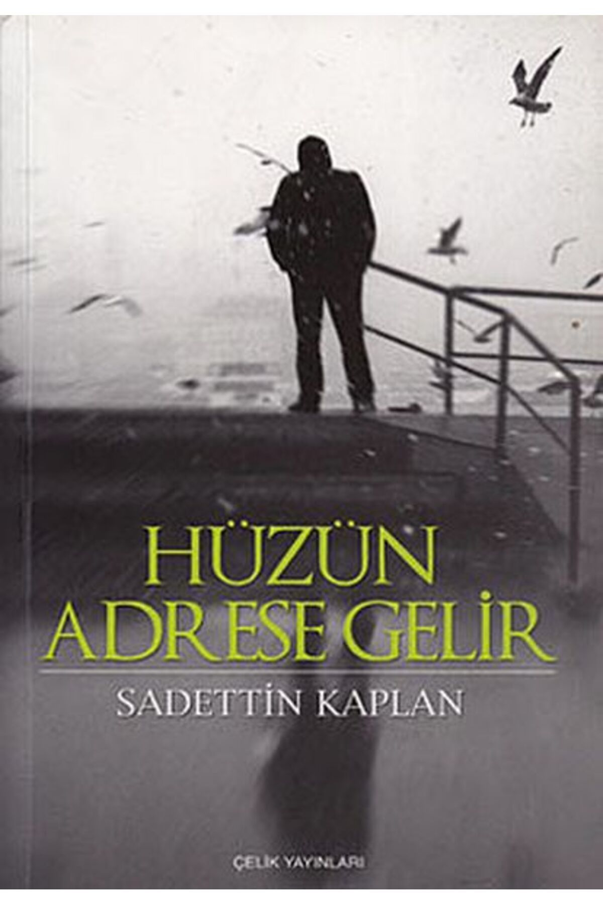 Çelik Yayınevi Hüzün Adrese Gelir