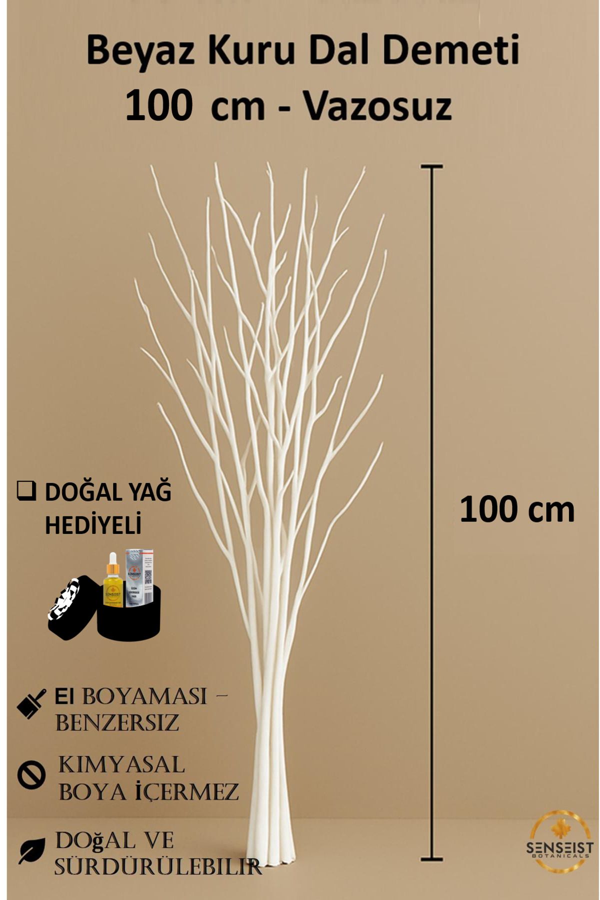 Senseist Botanicals Gerçek Kurutulmuş Ağaç Dalı Demeti | Beyaz El Boyaması | 100 cm | Doğal Dekoratif Kuru Dal