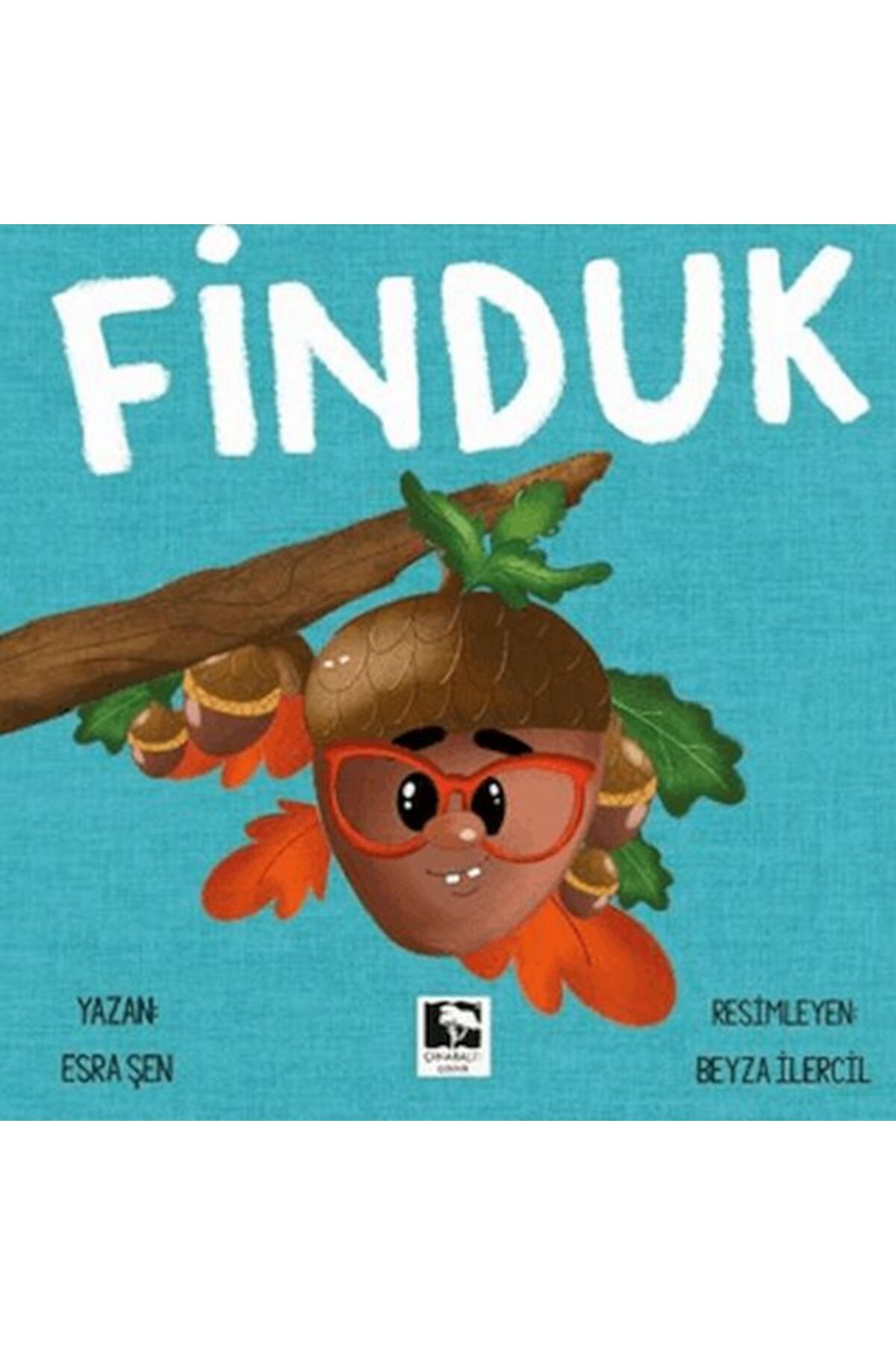 Çınaraltı Yayınları Finduk