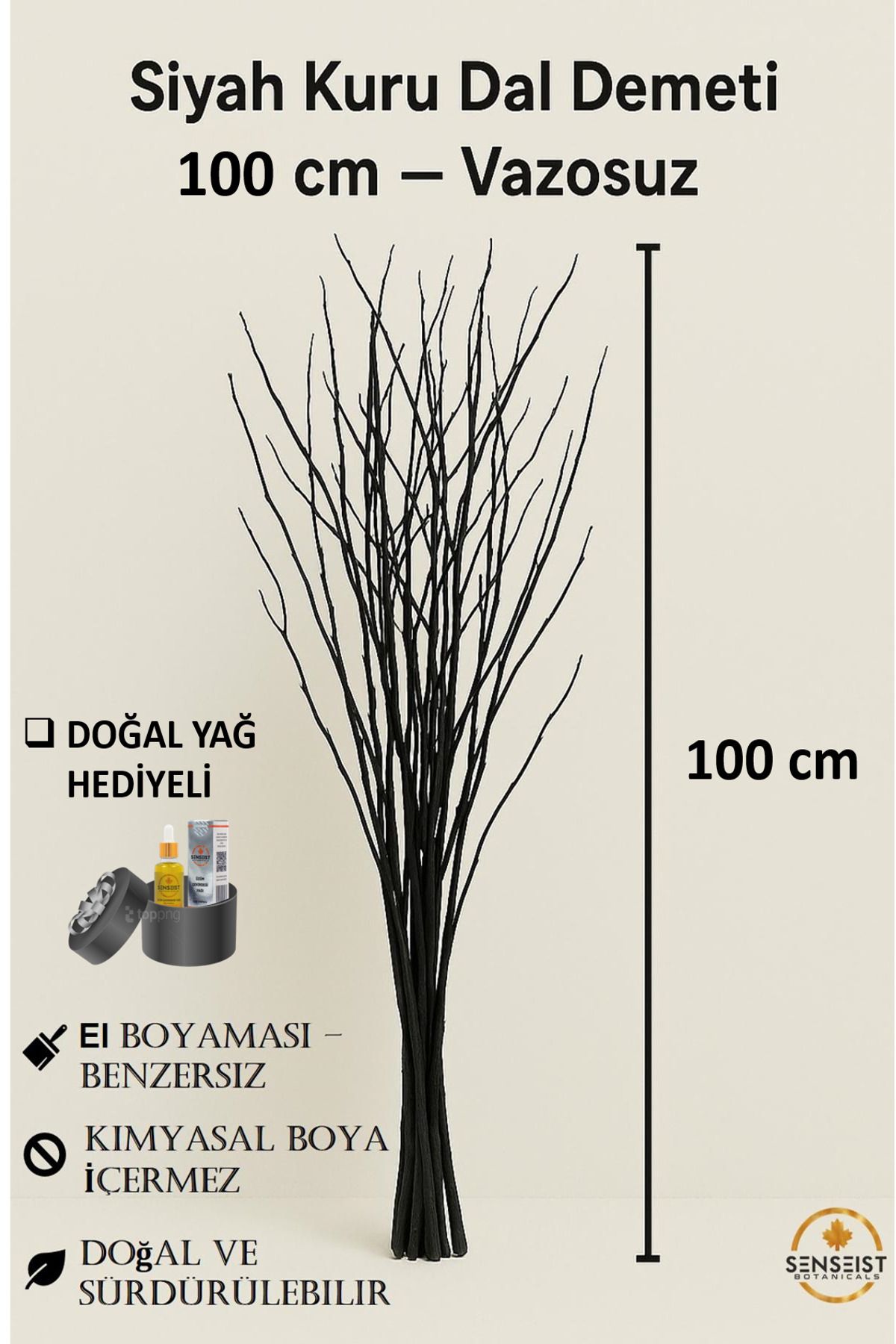 Senseist Botanicals Gerçek Kurutulmuş Ağaç Dalı Demeti | Siyah El Boyaması | 100 cm | Doğal Dekoratif Kuru Dal