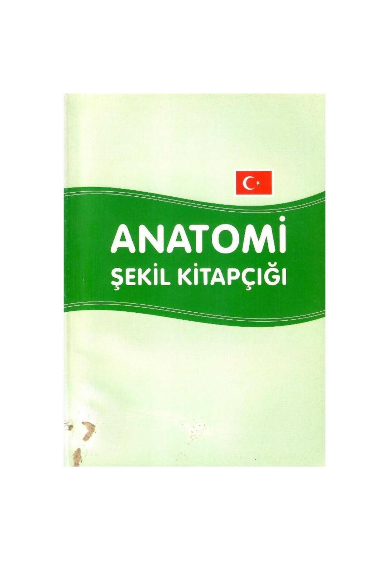 Türk Dil Kurumu Yayınları Anatomi Şekil Kitapçığı