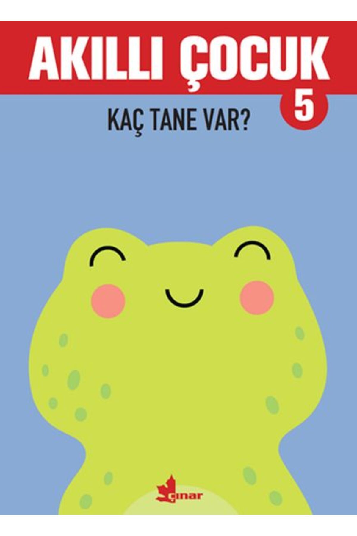 Çınar Yayınları Kaç Tane Var? - Akıllı Çocuk 5