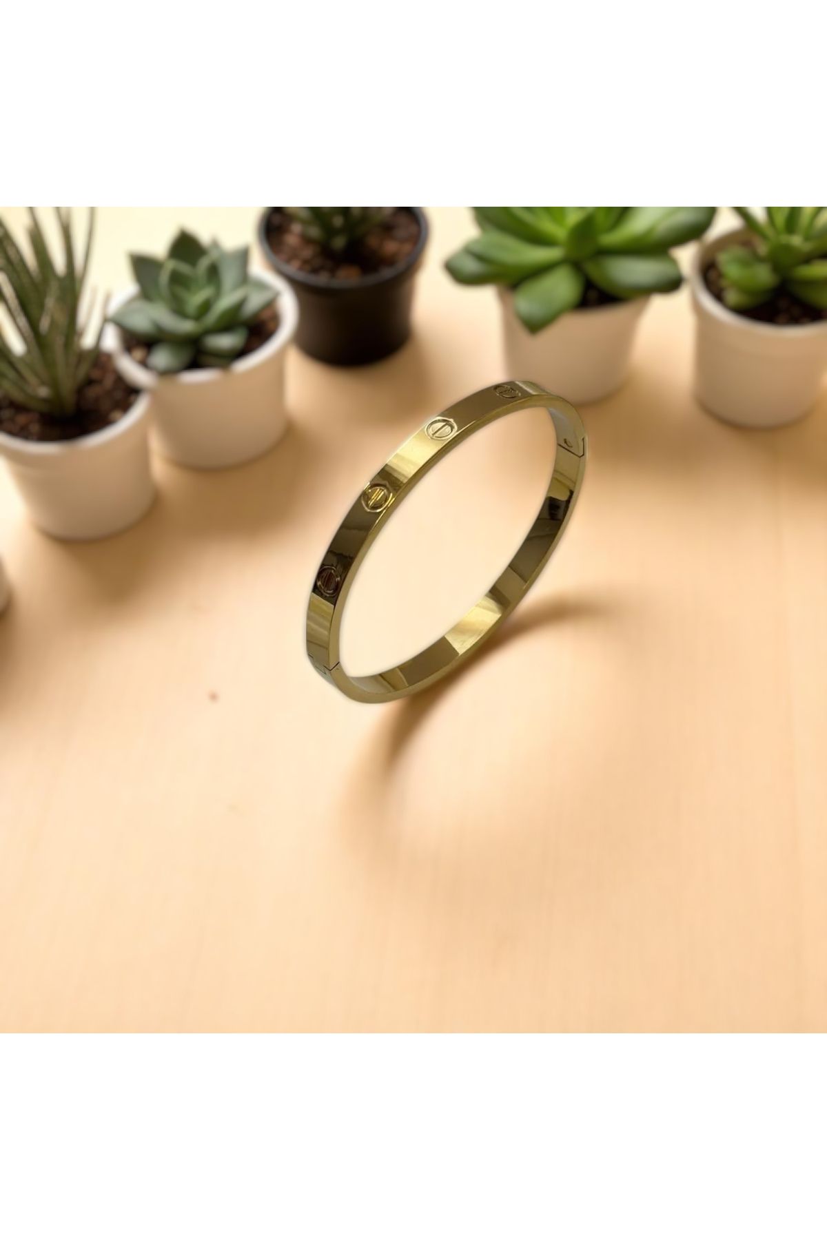 TAKVANOV Altın Renk Çelik Bileklik – Unisex – Vidalı Model