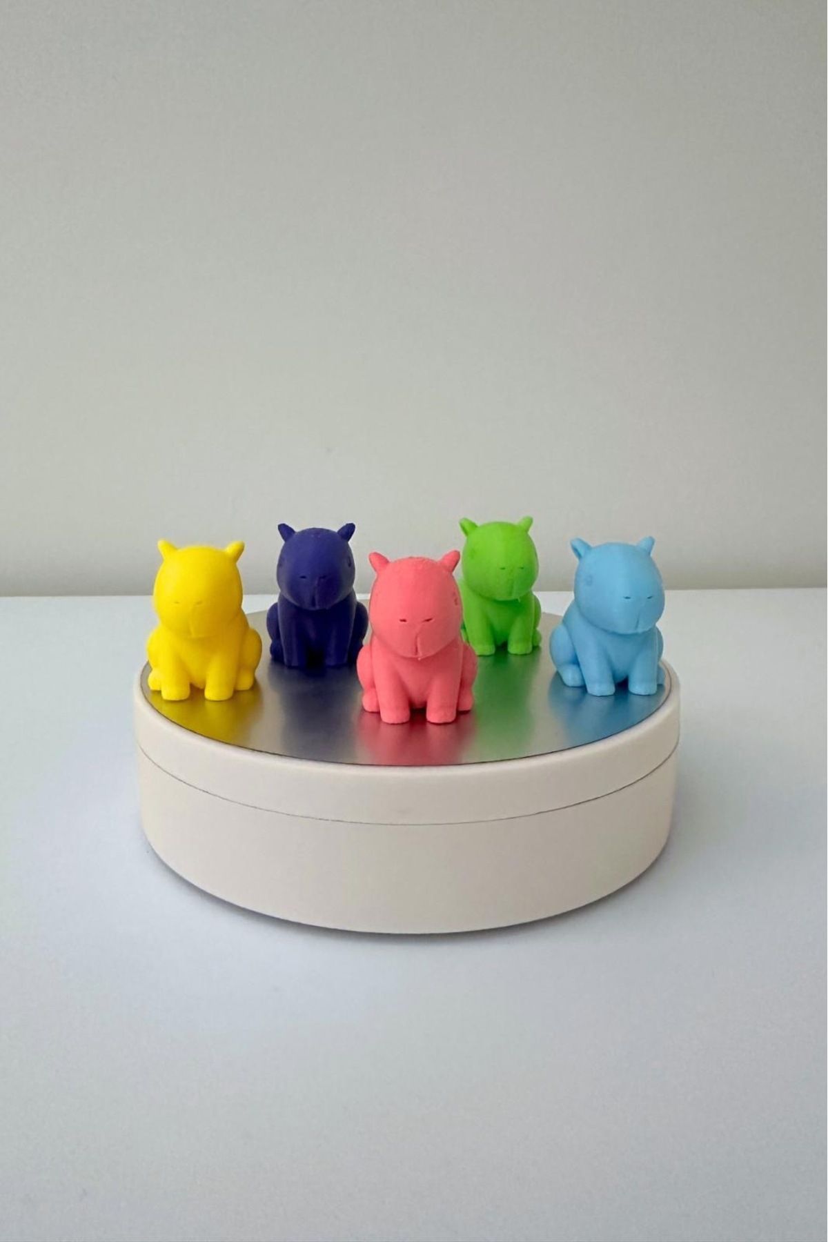 You Toys Capybara 5 Li Figür Oyuncak Seti/Boyasız/Opsiyonel Anahtarlık