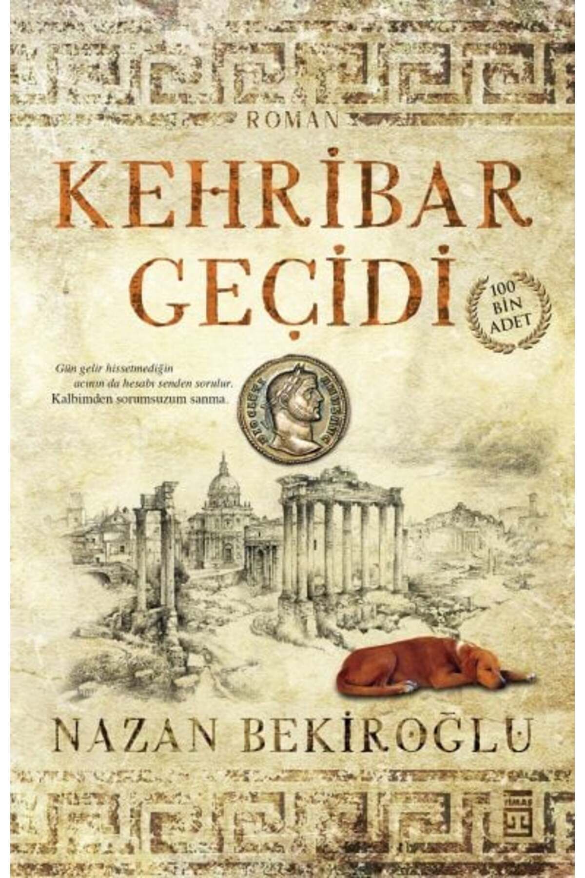 Destek Yayınları Kehribar Geçidi
