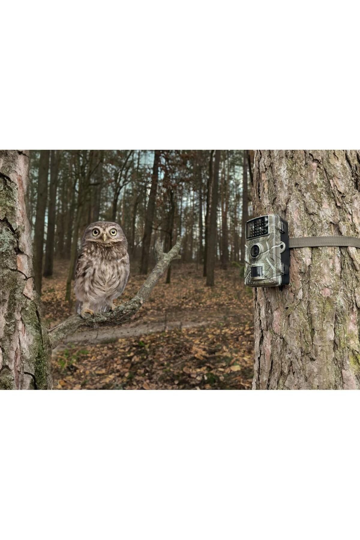 Technaxx-Cameră Wildcam Technaxx TX-256 pentru supravegherea vieții sălbatice, FullHD 1080p, senzor PIR, vedere nocturnă IR, IP66 7