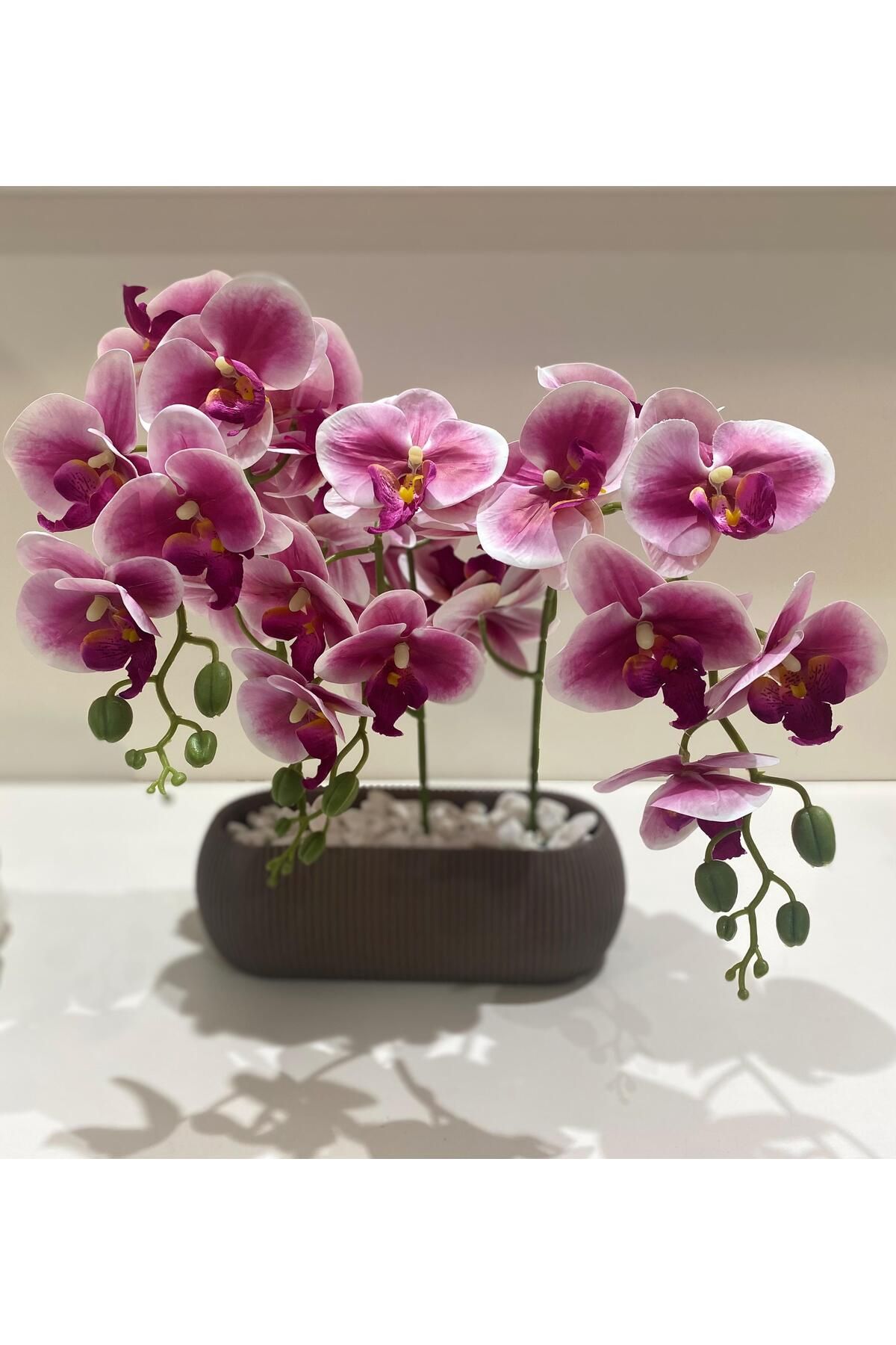 Öztürk flowers Islak Orkide (Saksılı)