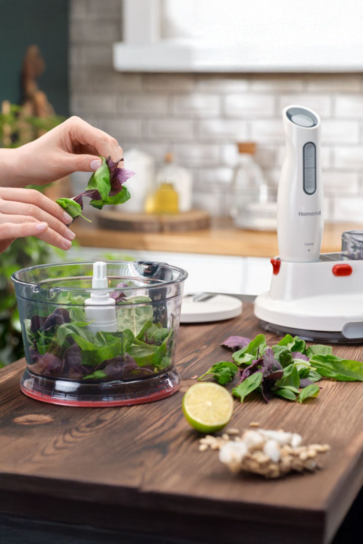 HOMEND-2848H Functionall Inox Food Processor 4