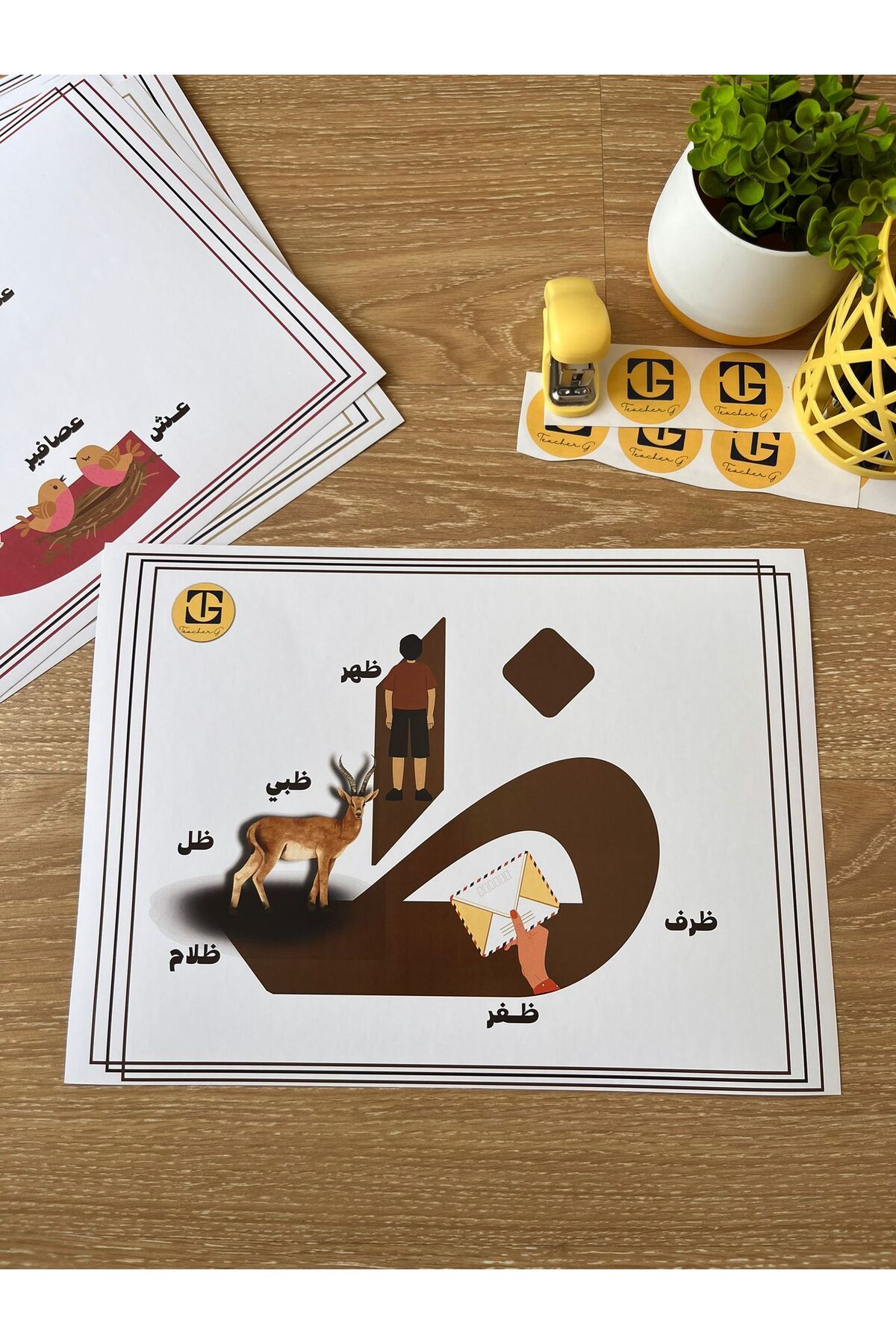 Teacherg game Zâ Harfi – Görselli Arapça Eğitim Posteri – (Kelime ve Görsel) (16,5x24cm) 1 adet
