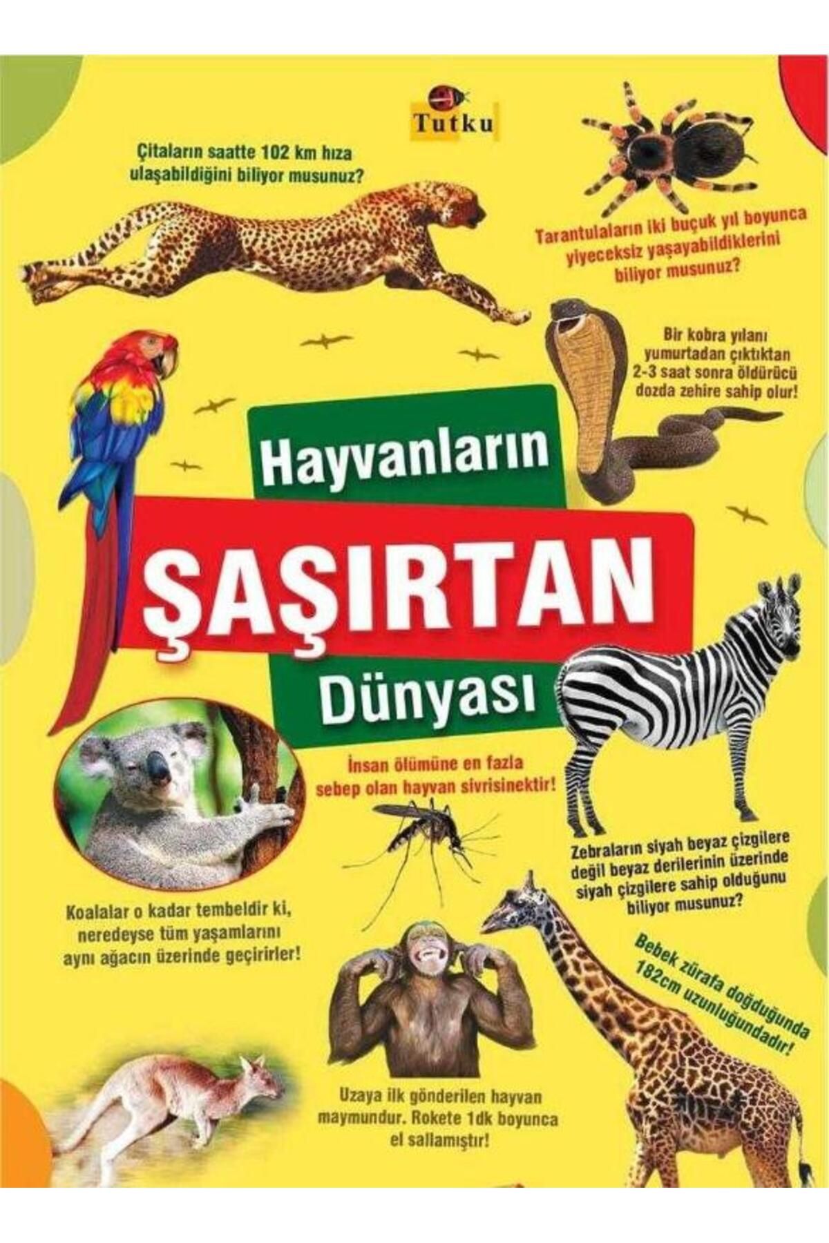 Türk Dil Kurumu Yayınları Hayvanların Şaşırtan Dünyası