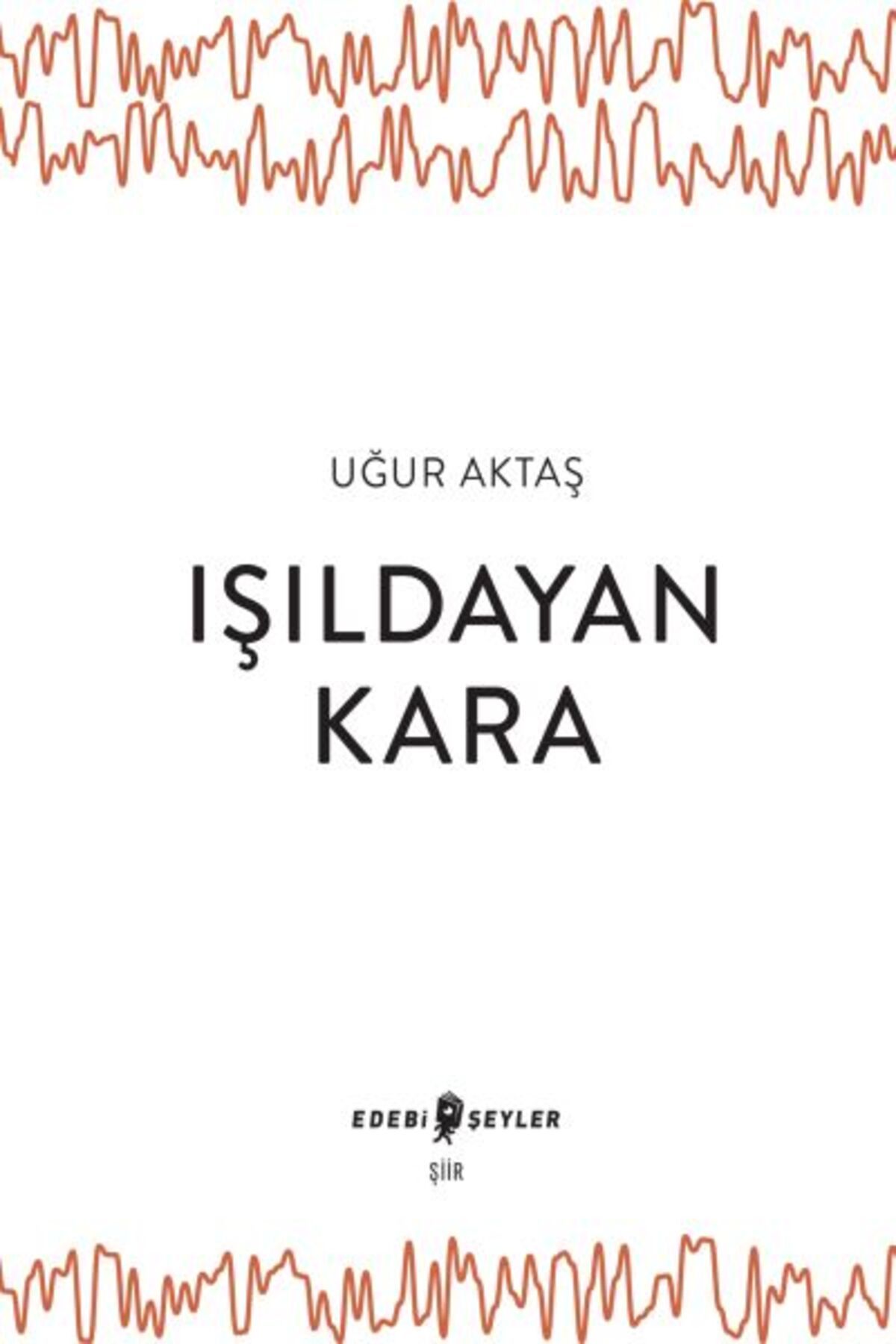 Edebi Şeyler Işıldayan Kara
