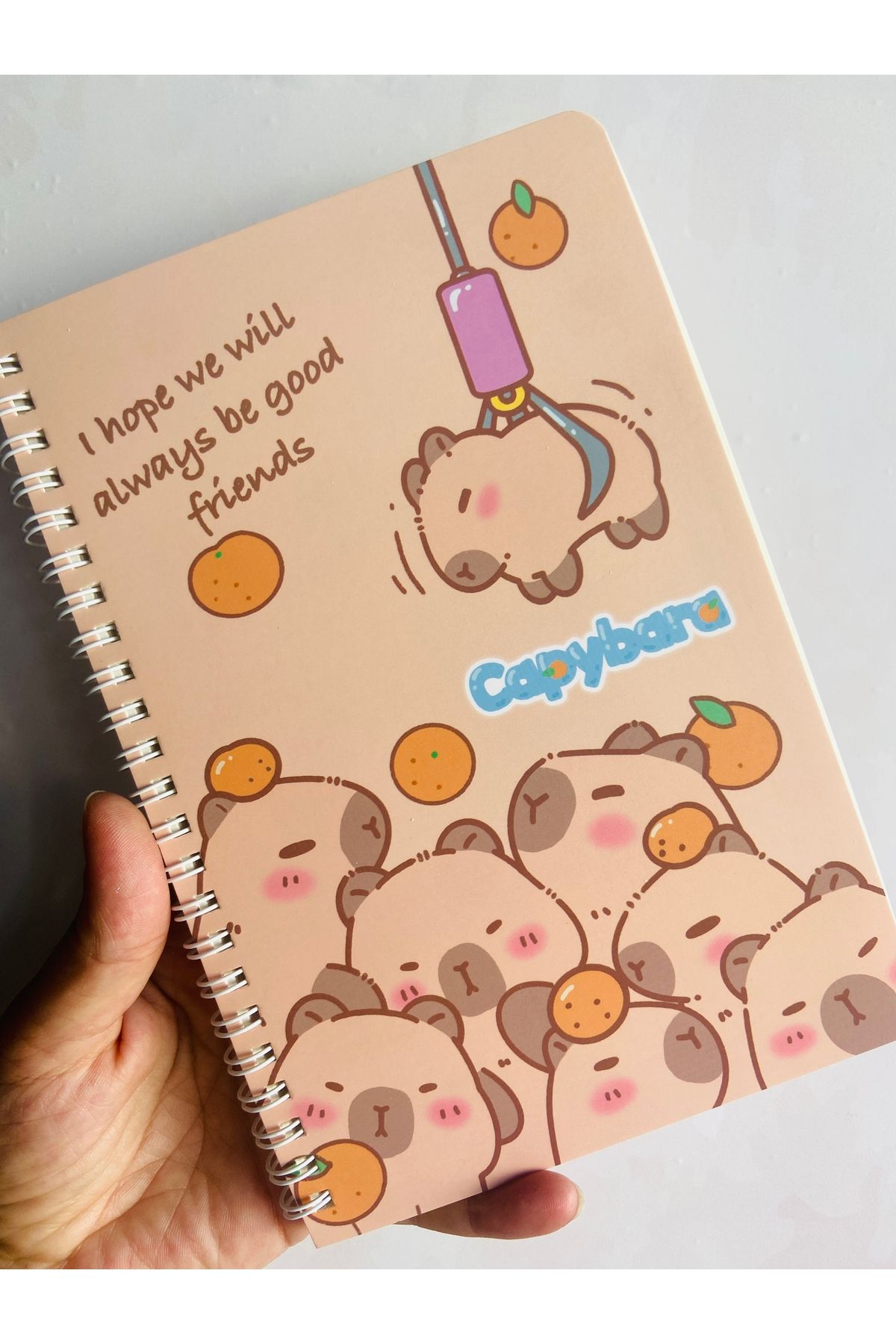 synshop Capybara Kapibara Figürlü Çizgili Spiralli Defter