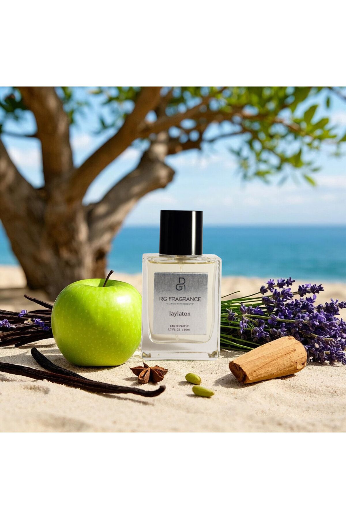 RG FRAGRANCES Laylaton Erkek Niche Parfüm Edp 50 ml (Elma, Lavanta, Sedir Ağacı, Vanilya)