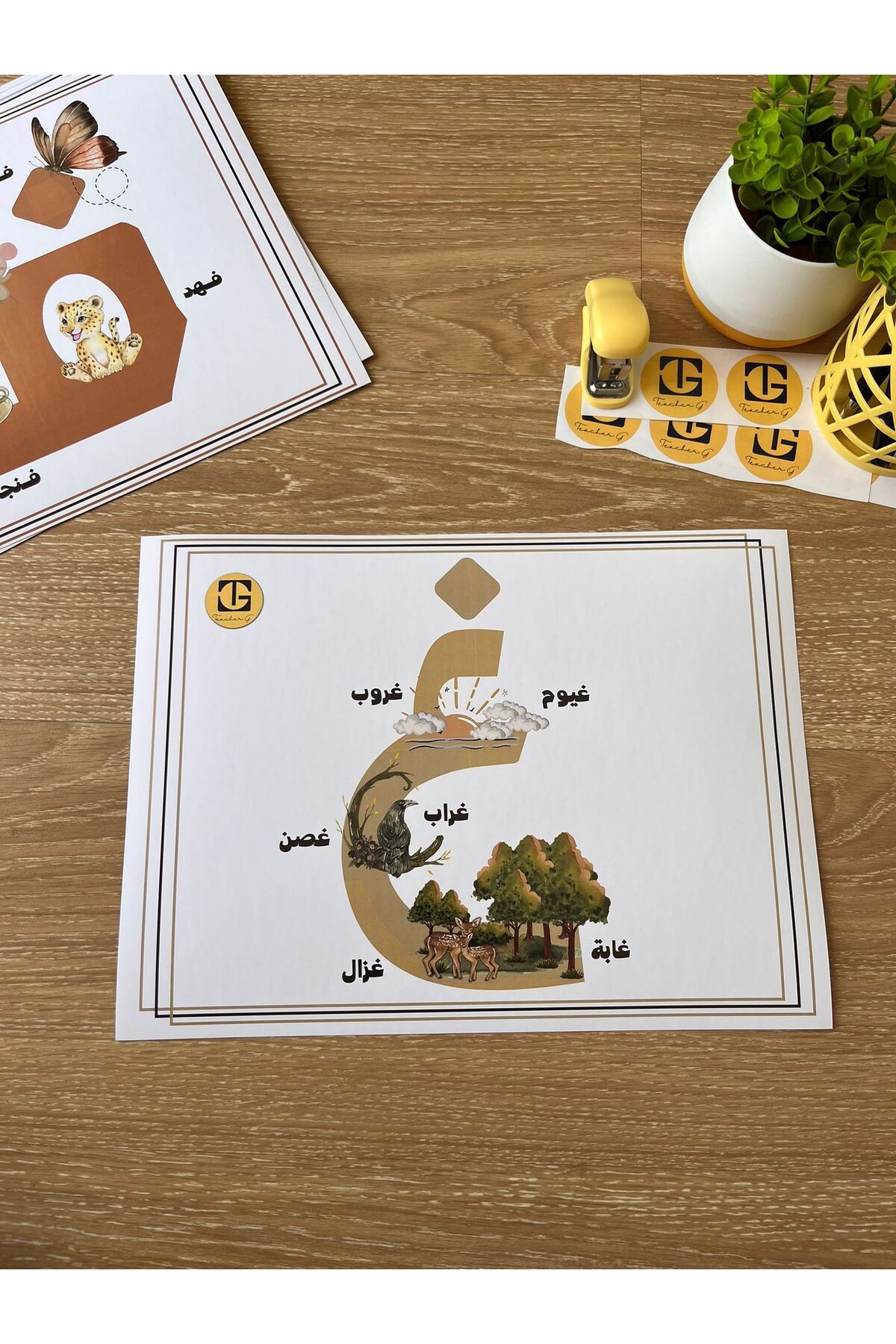 Teacherg game Ghayn Harfi – Görselli Arapça Eğitim Posteri – (Kelime ve Görsel) (16,5x24cm) 1 adet