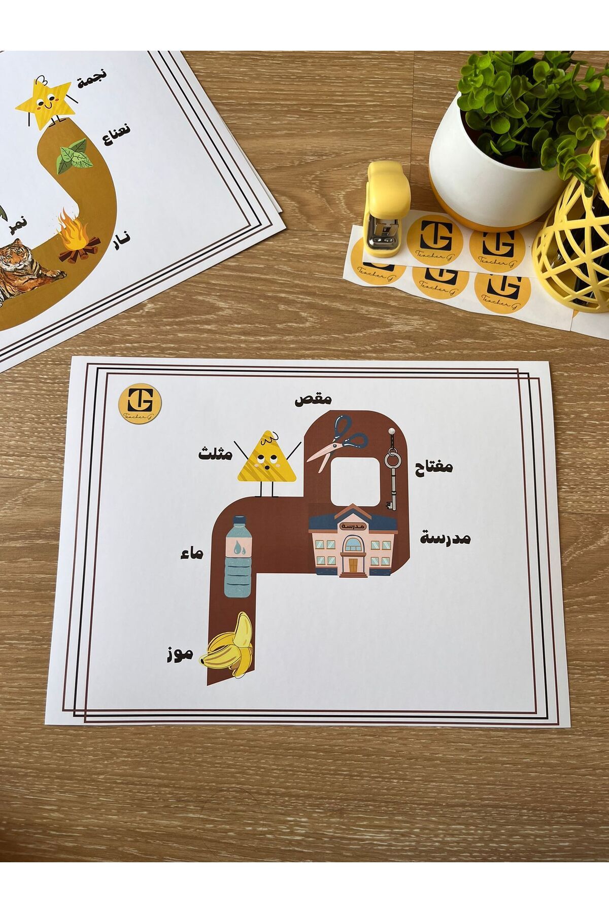 Teacherg game Mîm Harfi – Görselli Arapça Eğitim Posteri – (Kelime ve Görsel) (16,5x24cm) 1 adet