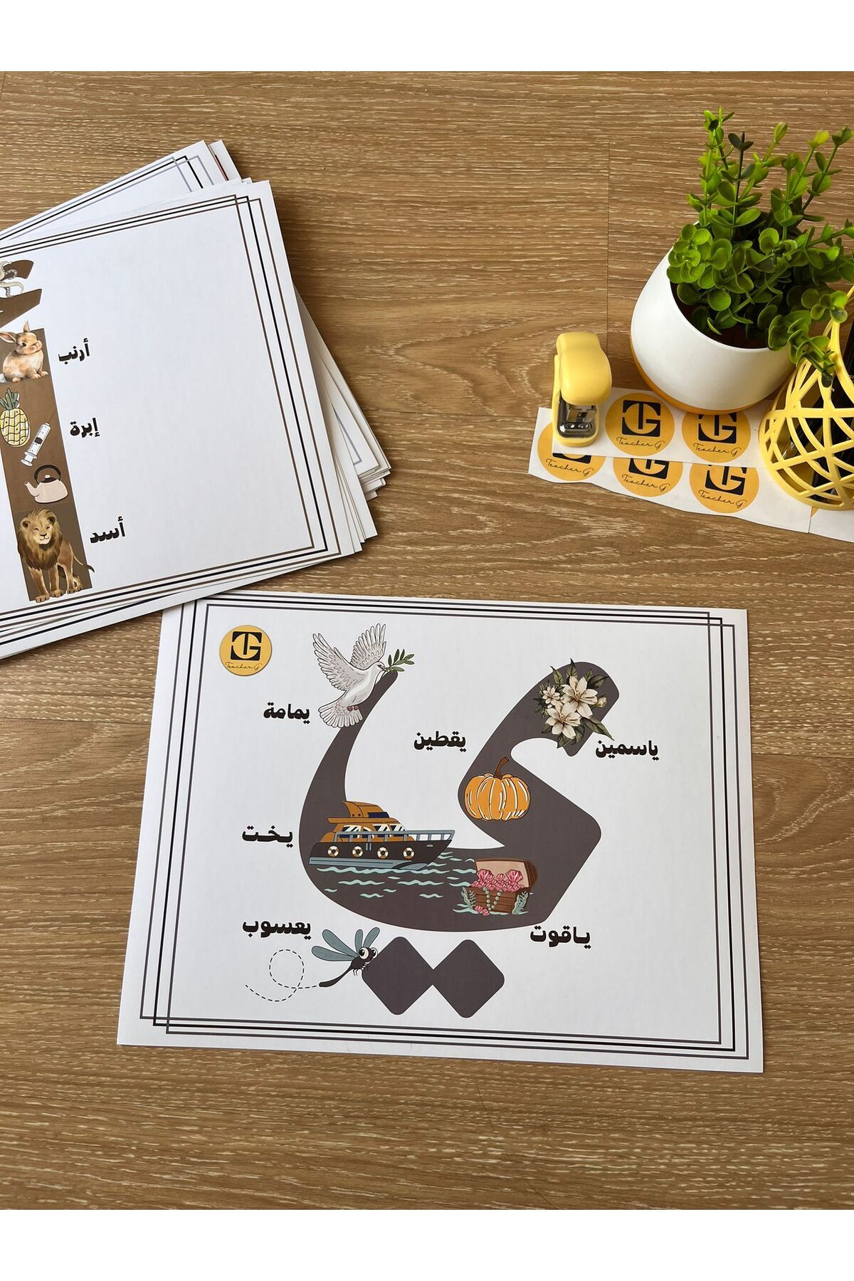 Teacherg game Yâ Harfi – Görselli Arapça Eğitim Posteri – (Kelime ve Görsel) (16,5x24cm) 1 adet