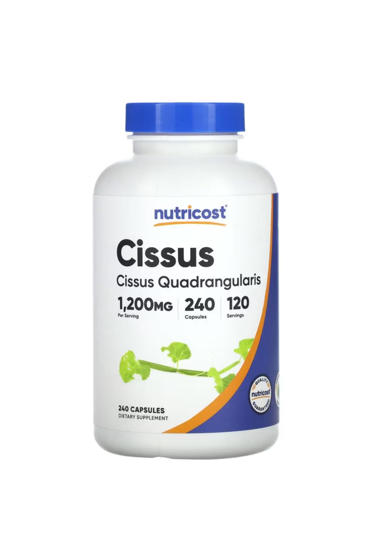 Nutricost , Cissus, 240 Capsules (600 mg per Capsule)
