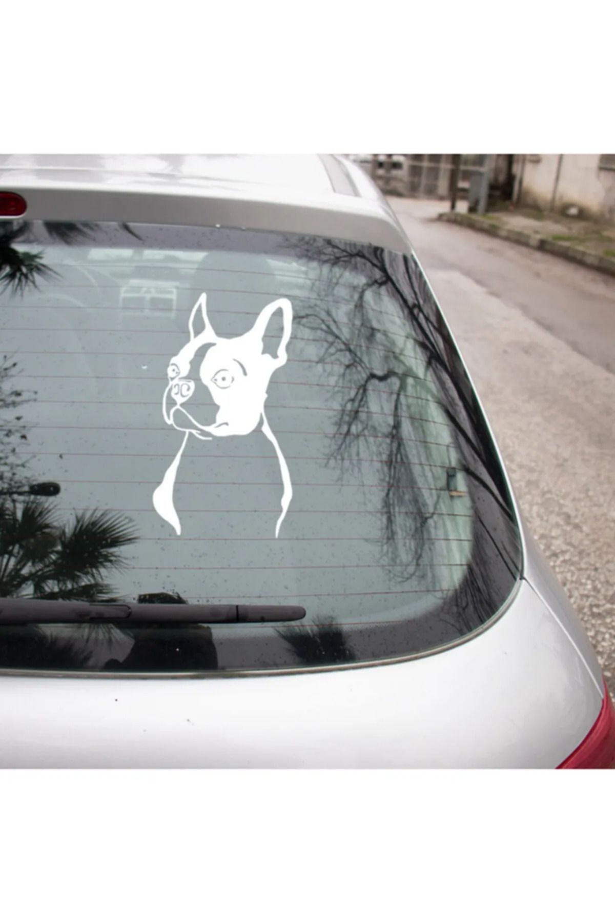 TSC Boston Terrier Cinsi köpek Sticker Yapıştırma Etiket 25cm BEyaz