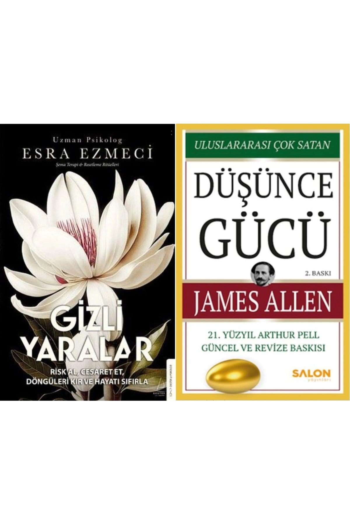 Destek Yayınları Gizli Yaralar + Düşünce Gücü 2 Kitap Set