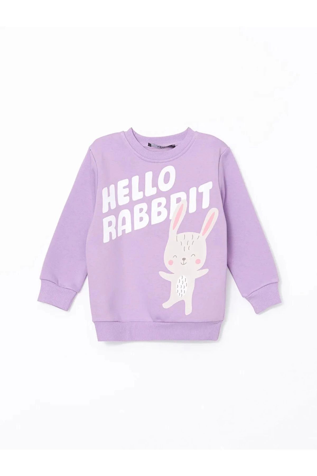 LC Waikiki LCWAIKIKI baby Pembe Bisiklet Yaka Baskılı Kız Bebek Sweatshirt