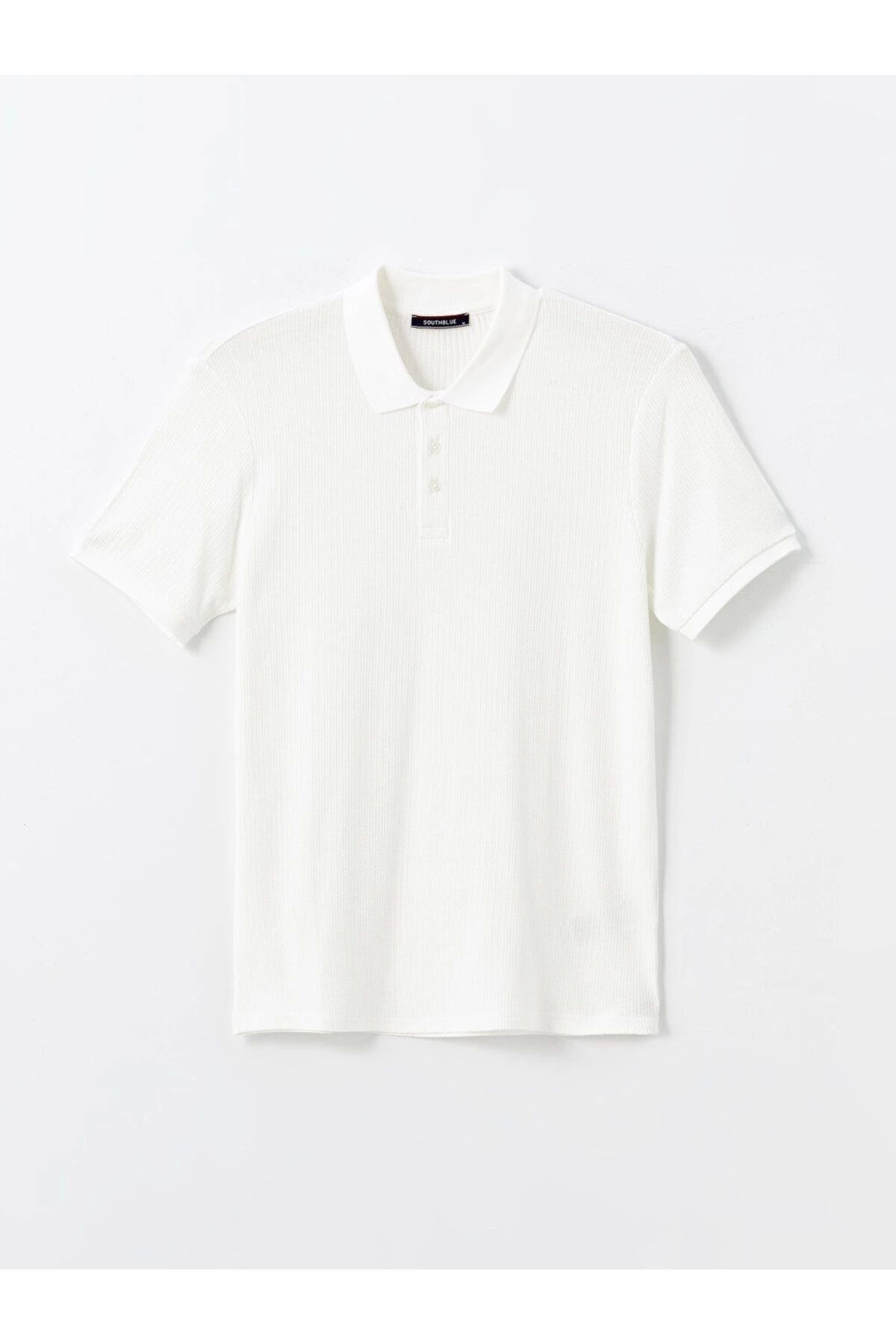 LC Waikiki LCWAIKIKI Polo Yaka Kısa Kollu Erkek Tişört