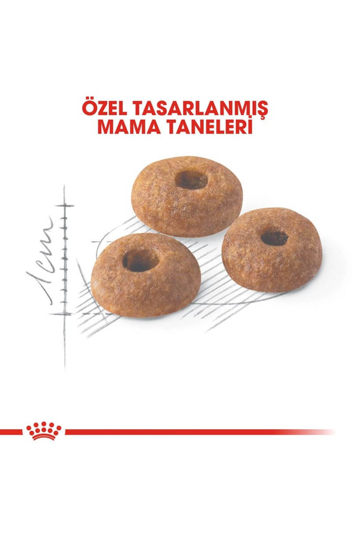 Royal Canin-® Fit 32 Yetişkin Kedi Maması 10 Kg 3