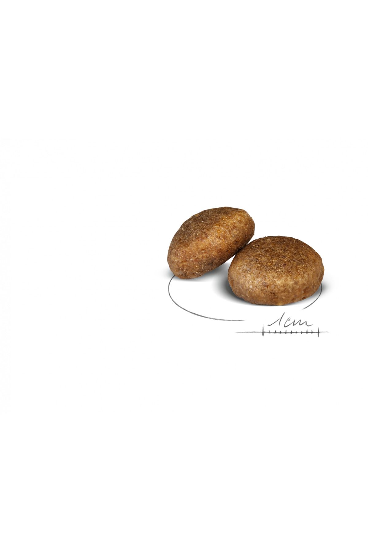 Royal Canin-Maxi Adult Large Dog Food 15 kg 2