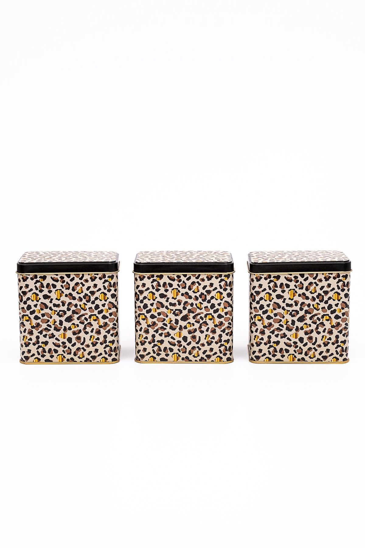 EVLE-Erb36V4 Rectangular Storage Container 8 X 12 X 12 Cm, Set of 3, Leo 3