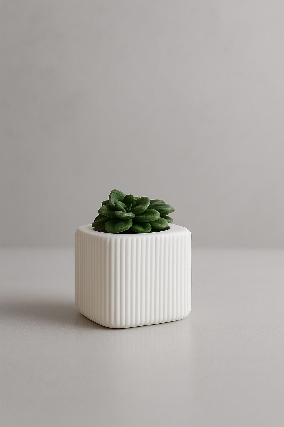 Nova lab Ess Dekoratif ve Minimal Sukulent Saksısı