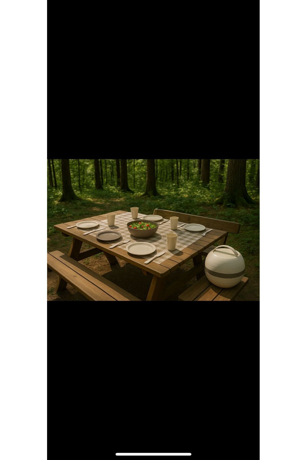 Feronyahome & Garden-Stylish and Practical Easy-To-Use Picnic Set for 6 People 6