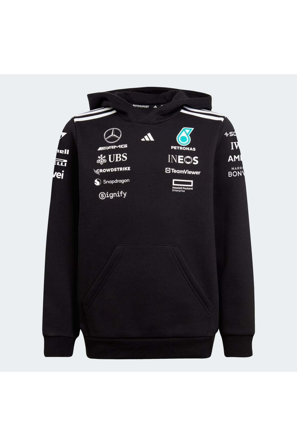 MERCEDES - AMG PETRONAS FORMULA ONE TEAM HOOD