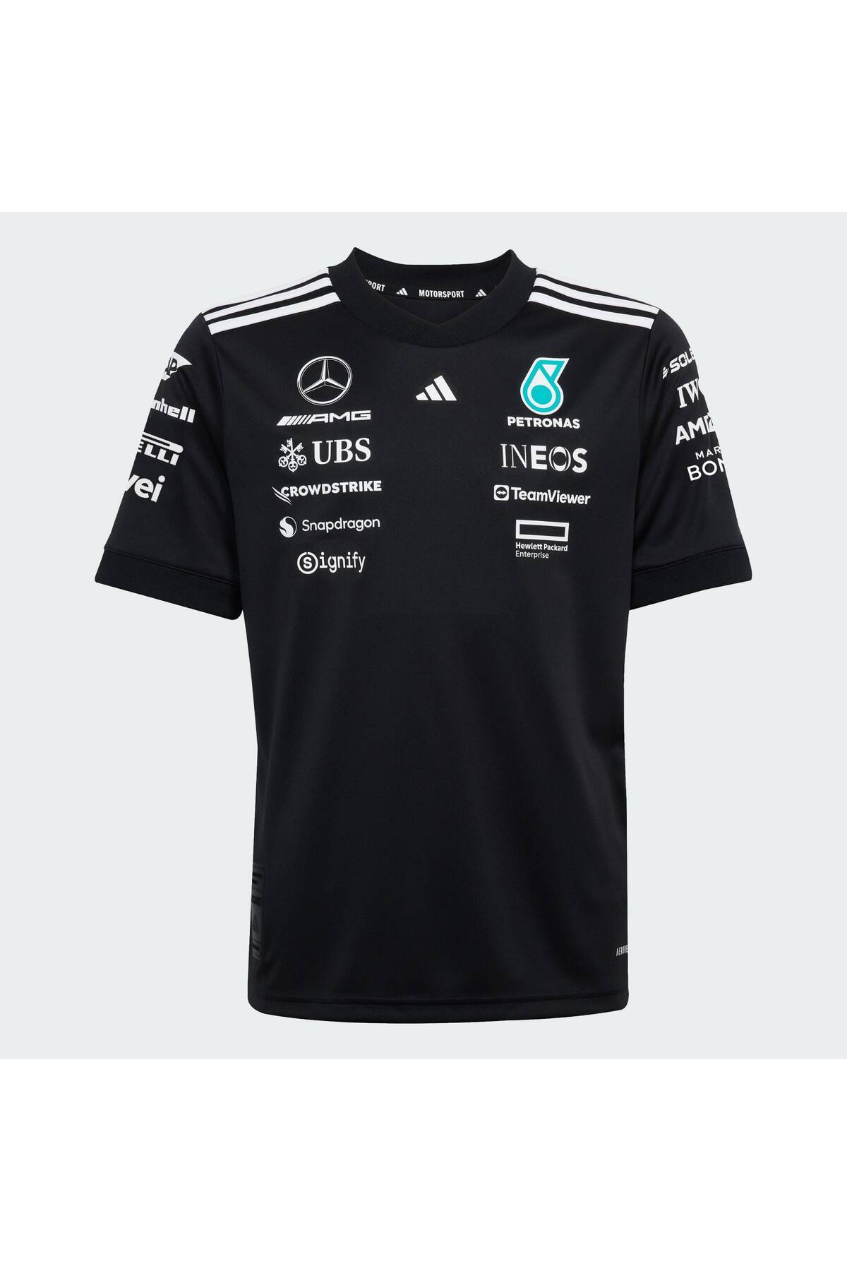 MERCEDES - AMG PETRONAS FORMULA ONE TEAM PİLOT FORMASI