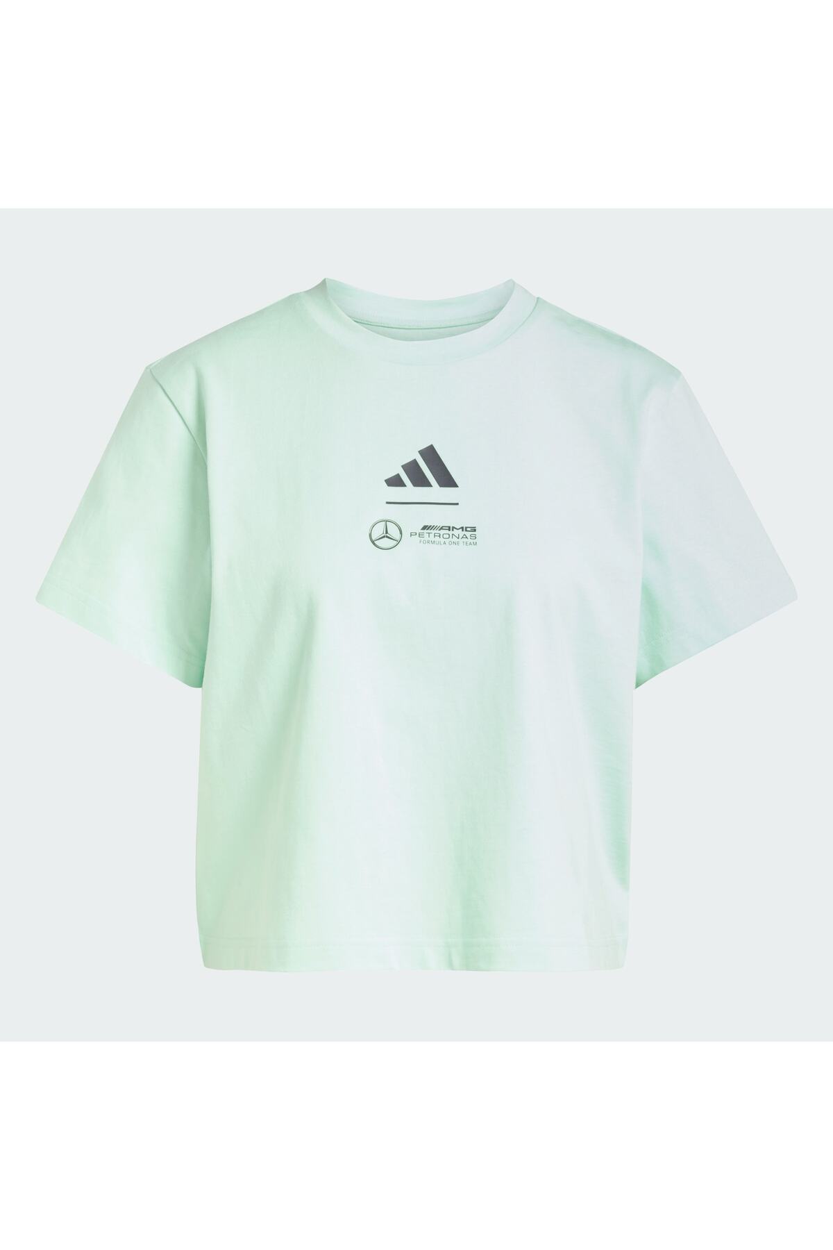 Petronas Formula One Team Premium Dokuma Kırpılmış Tişört