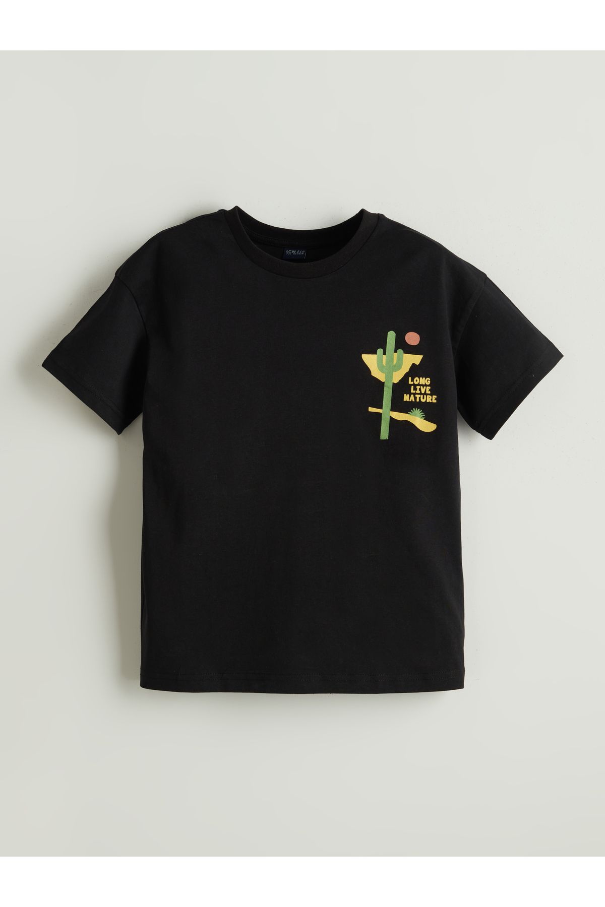 LC Waikiki-Crew Neck Boy's T-Shirt 1