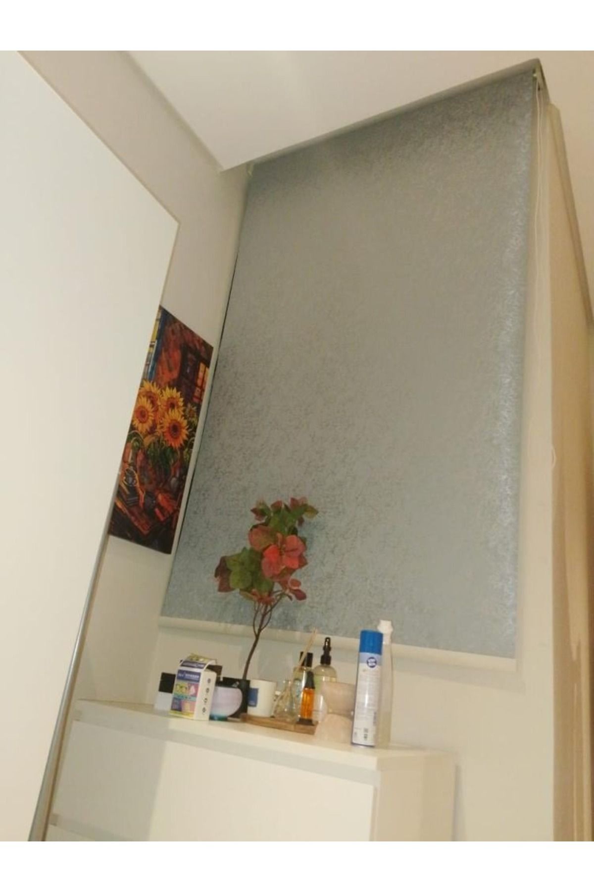 DEC4-Tree roller blinds add a touch of elegance and privacy 2
