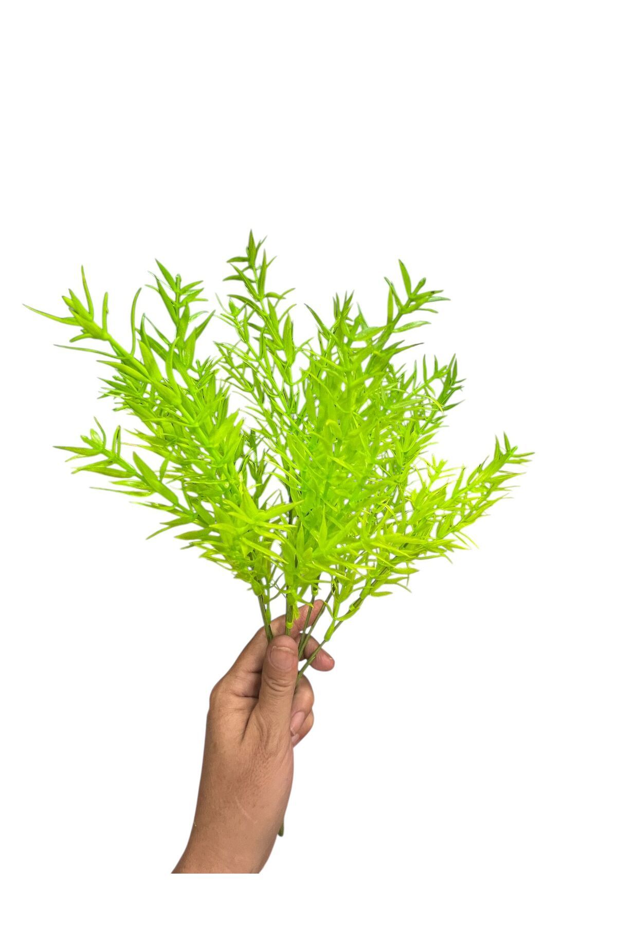 sedoshhomevision Yapay Eğrelti Otu