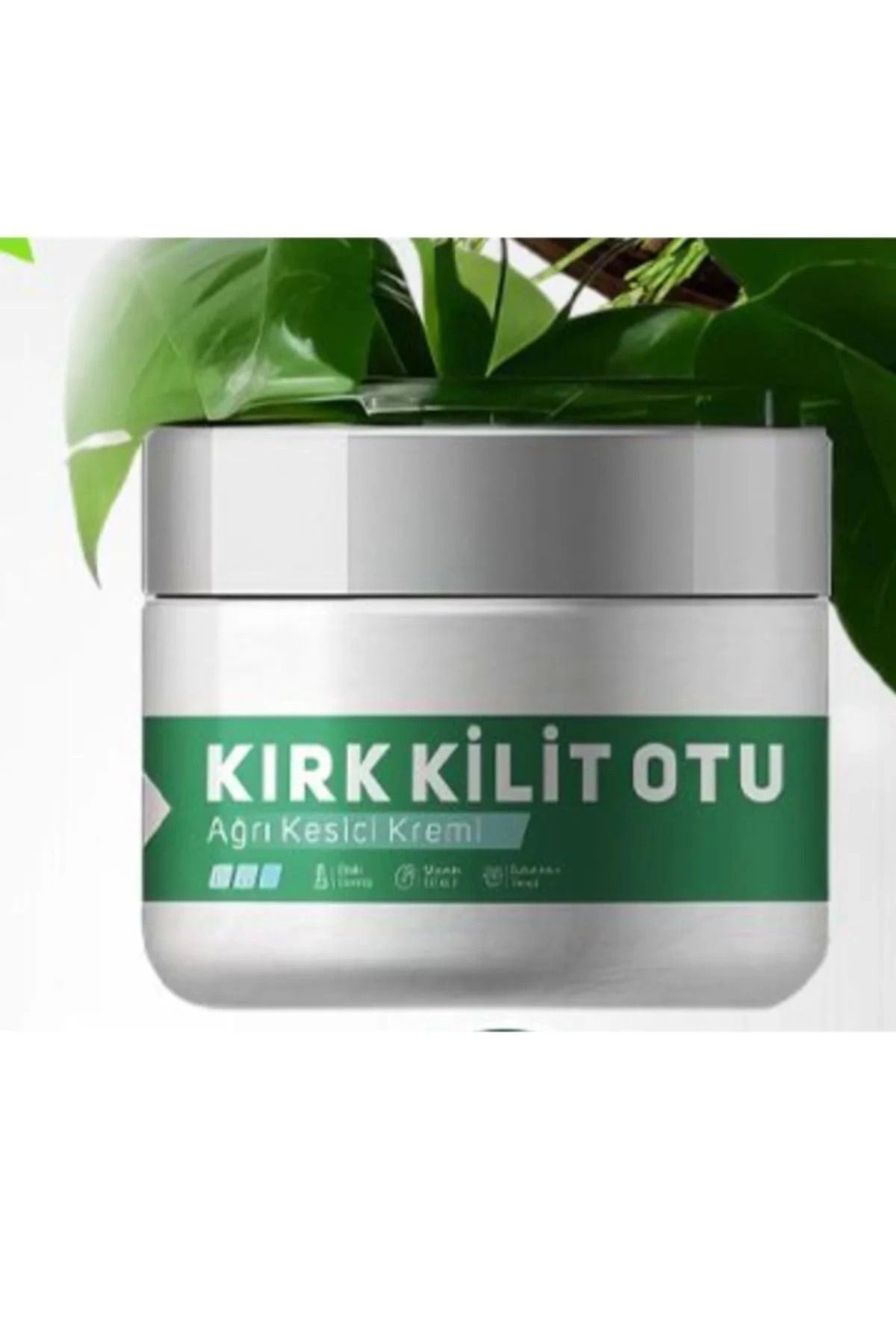Modafiks Kırkkilitotu Vücut Adale Sızıları için Masaj Bakım Kremi 100 ml x 1 adet