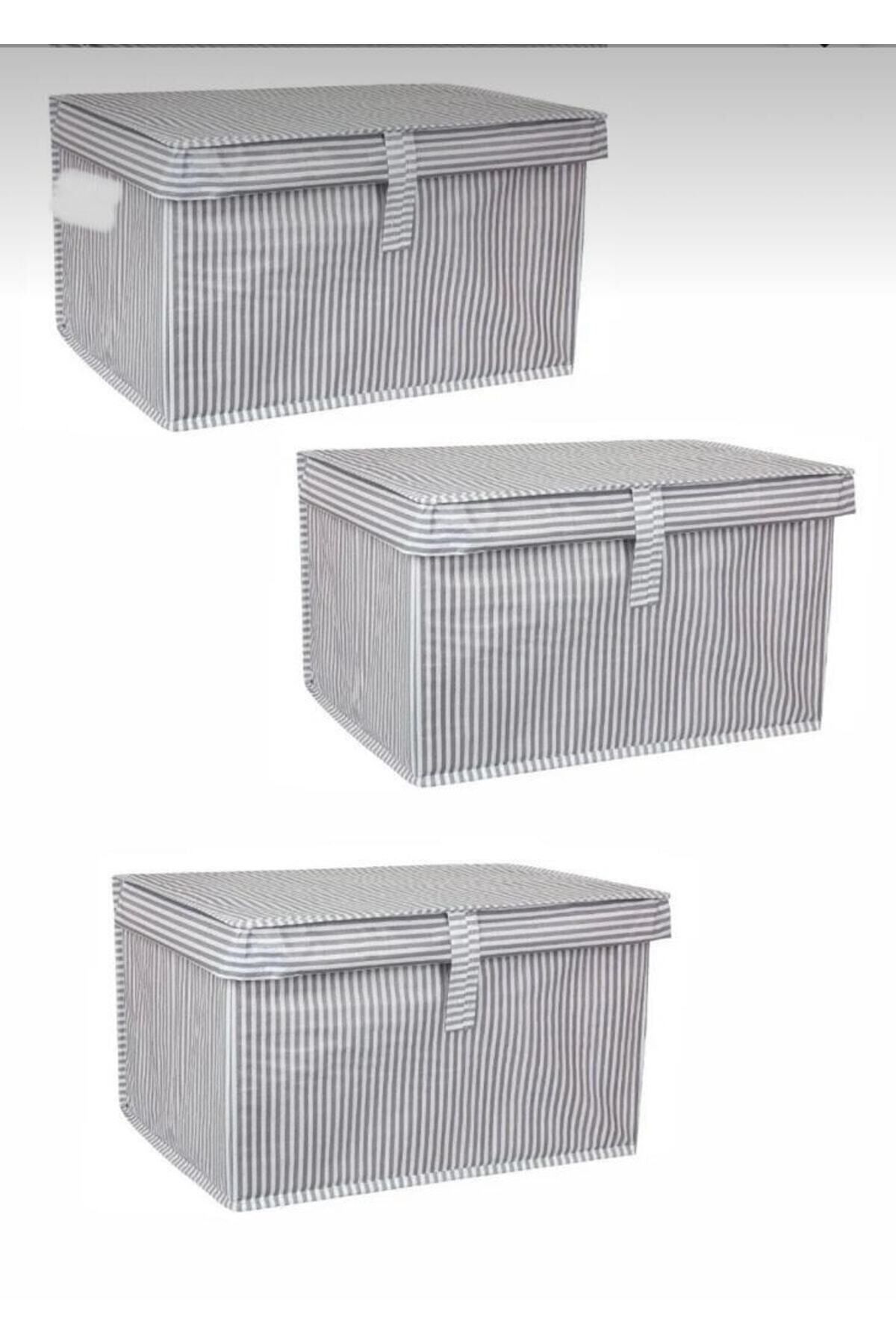 teknotrust 3'lü Kapaklı Çok Amaçlı Saklama Kutusu 30x40x26 cm, gri renk
